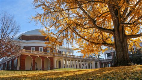 Does UVA Have Supplemental Essays: A Journey Through the Ivy-Covered Halls of Curiosity