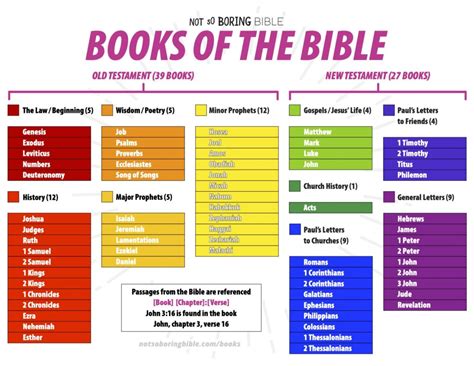 what books of the bible should i read first